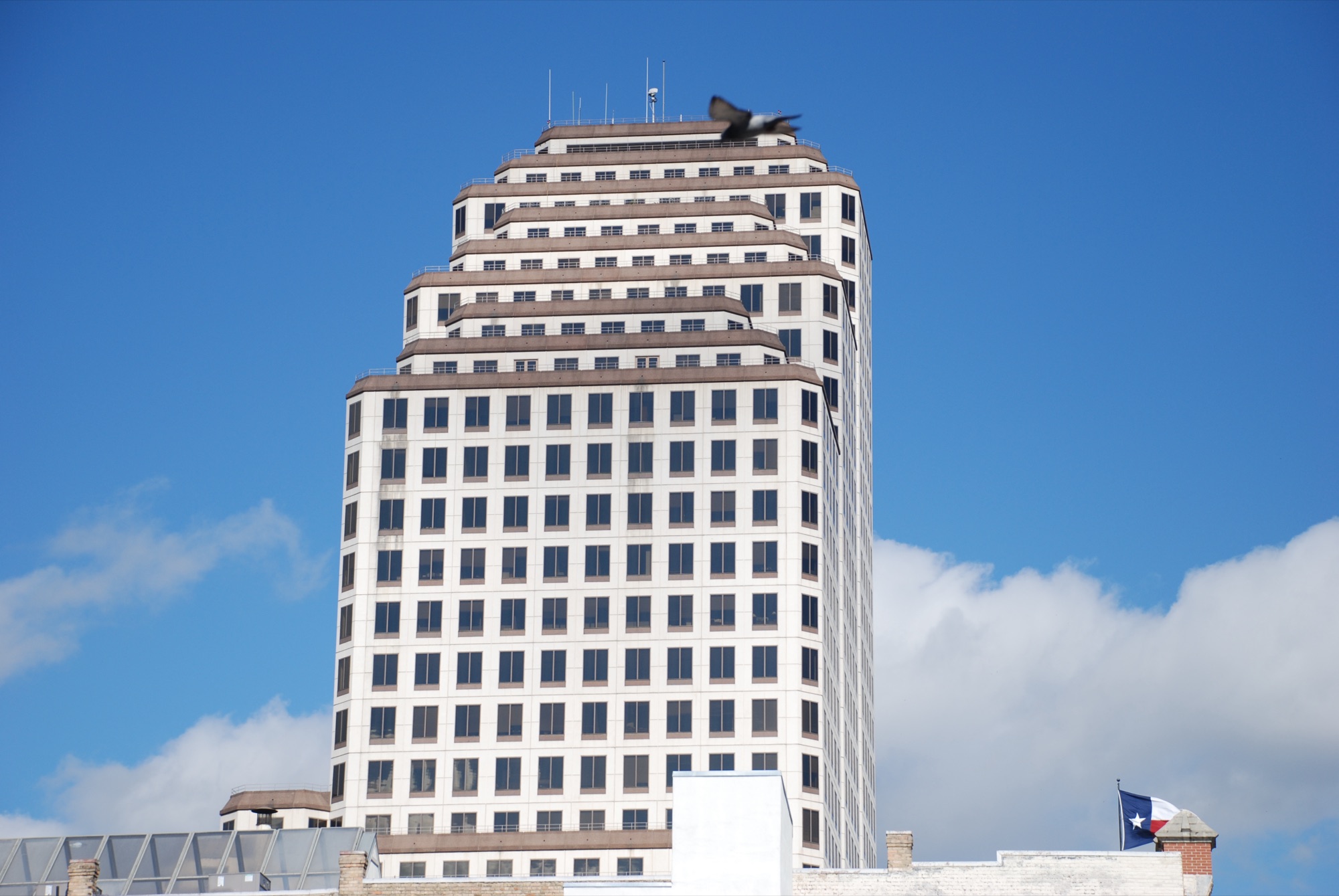 Expiring Commercial Lease? Lease Renewal and Review Help in Austin
