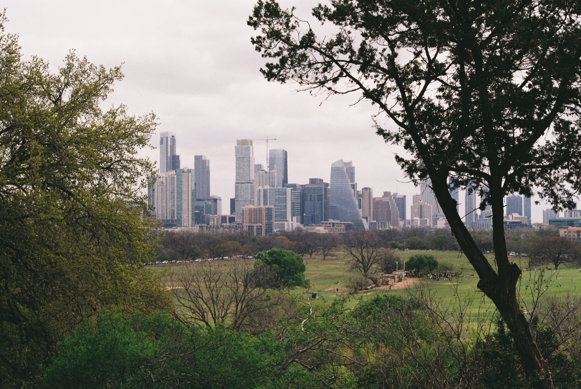 Commercial Real Estate Services in Austin